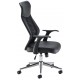 Fonseca Mesh Ergonomic Office Chair